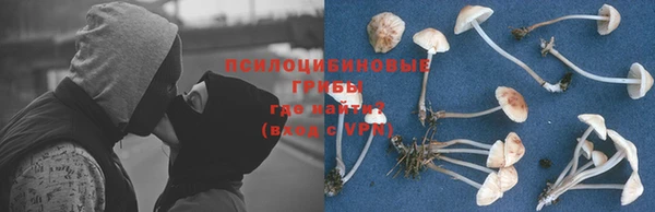 спиды Арсеньев