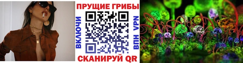 MEGA ссылка Пошехонье Галлюциногенные грибы Cubensis